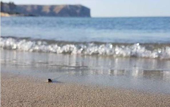 Acogedor Y Precioso Atico En Javea Primera Linea Playa ภายนอก รูปภาพ